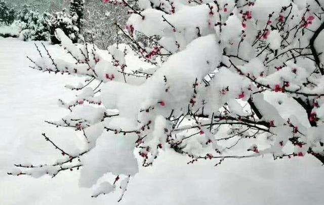 唐宋“咏雪诗”中的佛禅：以雪景阐述内心之情感