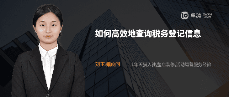 如何高效地查询税务登记信息