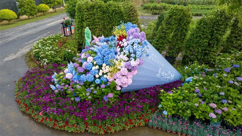 安徽郎溪：花旅融合 为乡村振兴“添香增色”