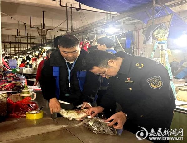 娄底市开展水产品销售质量安全专项治理行动