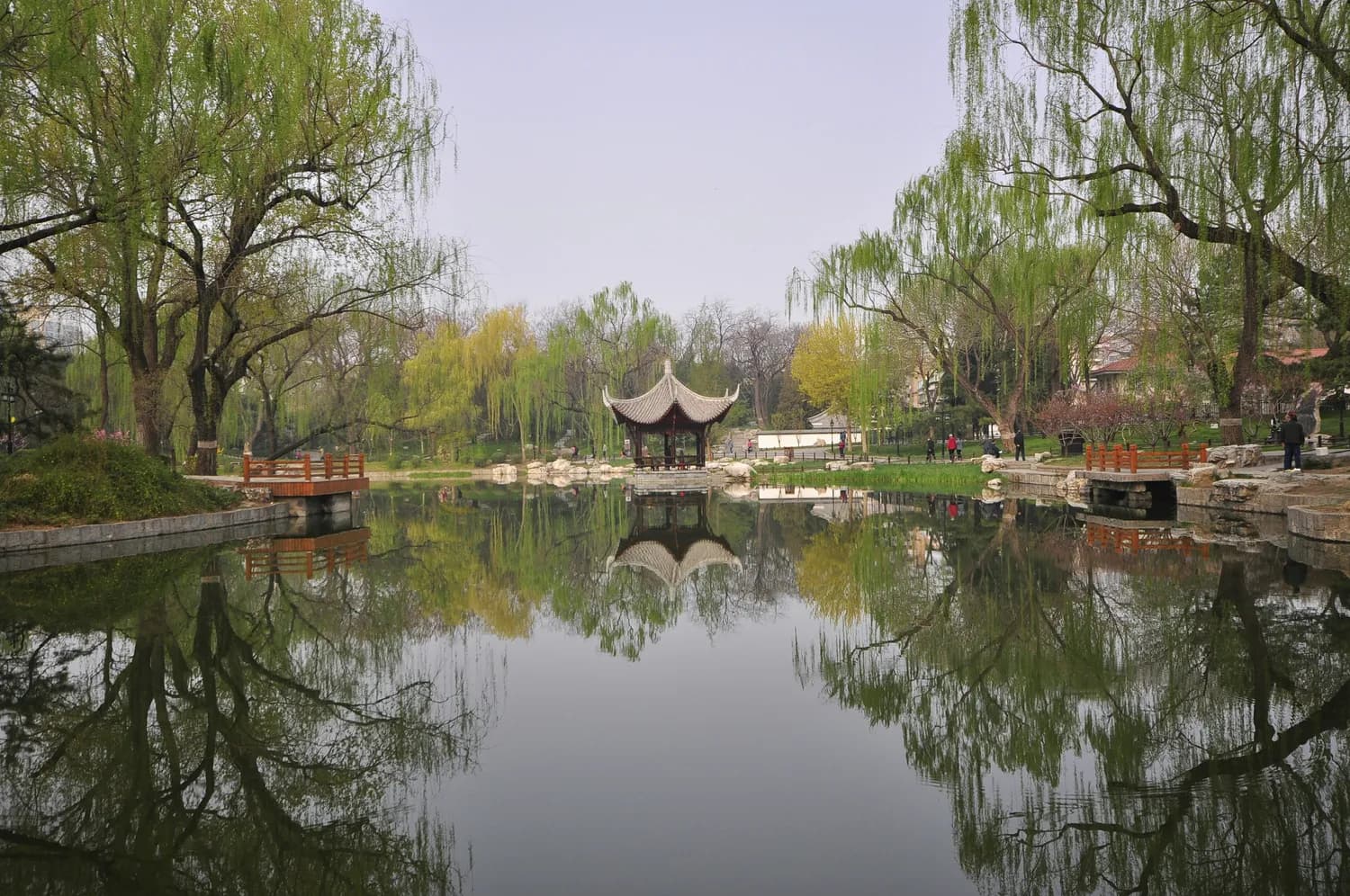 部编版三年级语文上册：重点难点全解析