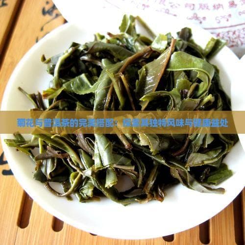 菊花与普洱茶的完美搭配：探索其独特风味与健康益处