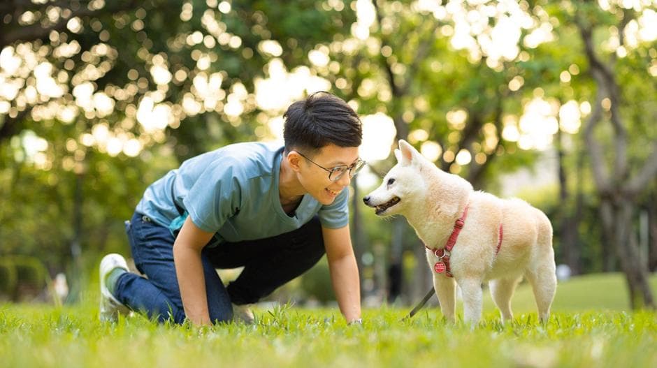 疗癒犬不是治療犬？狗狗可以幫忙做心理諮商？台灣這家諮商所這樣運用「動物輔助介入」