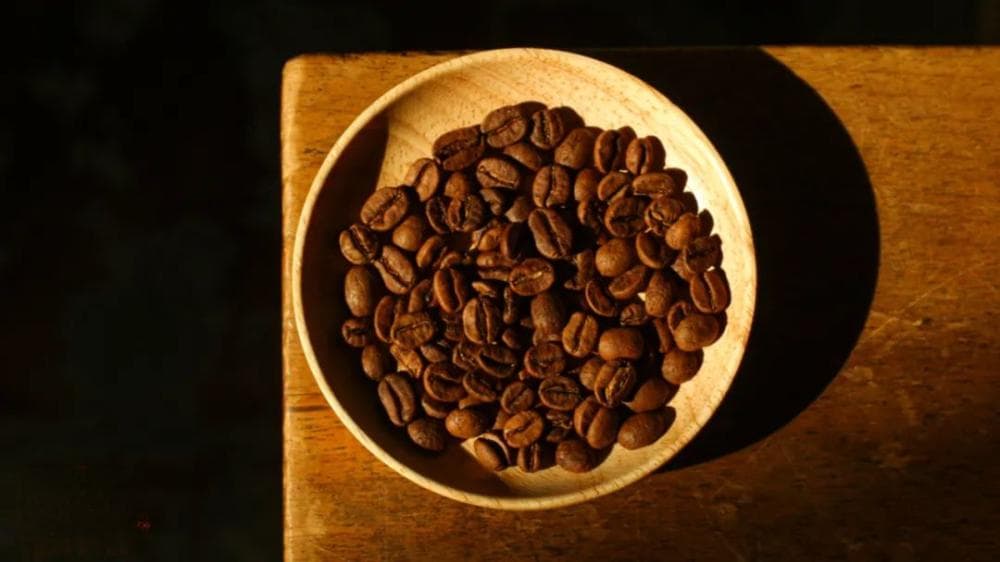 为什么单人份的手冲咖啡都用15g豆冲煮？01和02款滤杯有什么区别？
