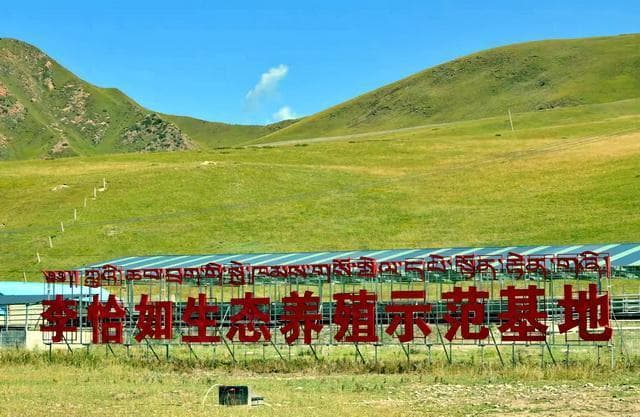 生态农场借“绿”出圈，多层级现代生态农业模式正在构建