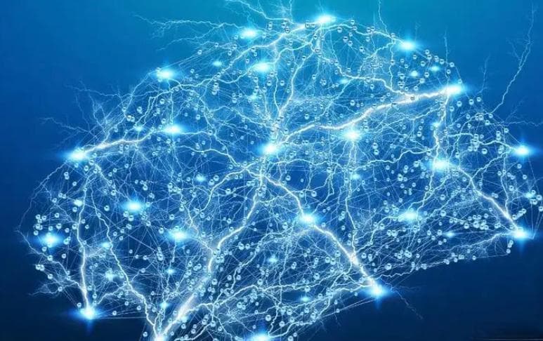 AI智能体（Agent）的发展历程：初学者必备-从规则到自主智能