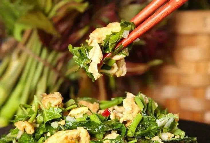 真正会吃的老饕，都在等春天