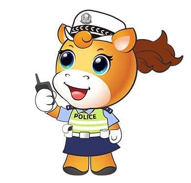 车管知识：在车顶安装行李架需要备案吗？