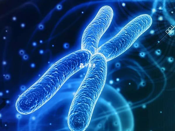 染色体变异主要有5种类型，如何鉴别还需找对方法