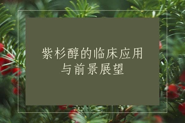 紫杉醇的临床应用与前景展望