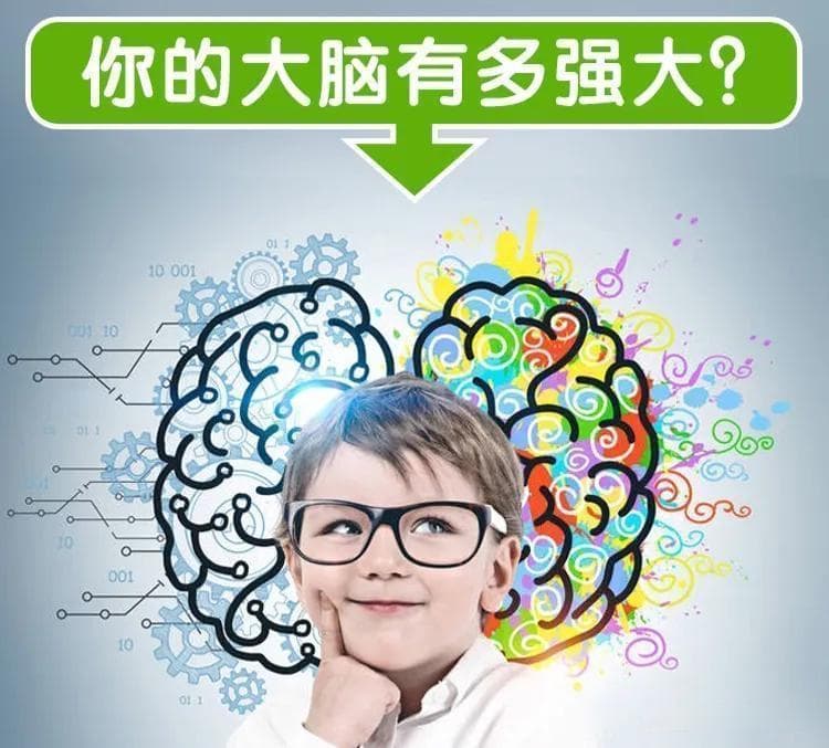 0-3岁幼儿观察力记忆力与想象力发展