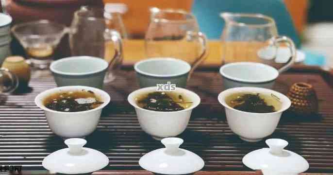 普洱茶茶室：品茗体验、品种鉴与购买指南 - 全面了解普洱茶的必备之地
