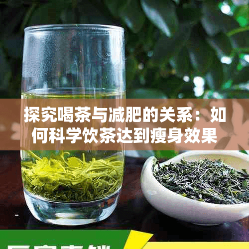探究喝茶与减肥的关系：如何科学饮茶达到瘦身效果