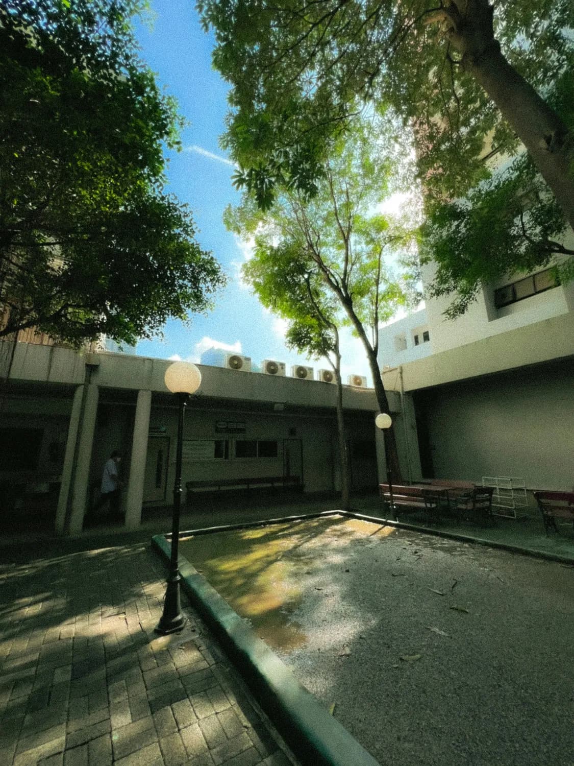 《异人之下2》春节档来袭，带你探秘神秘碧游村