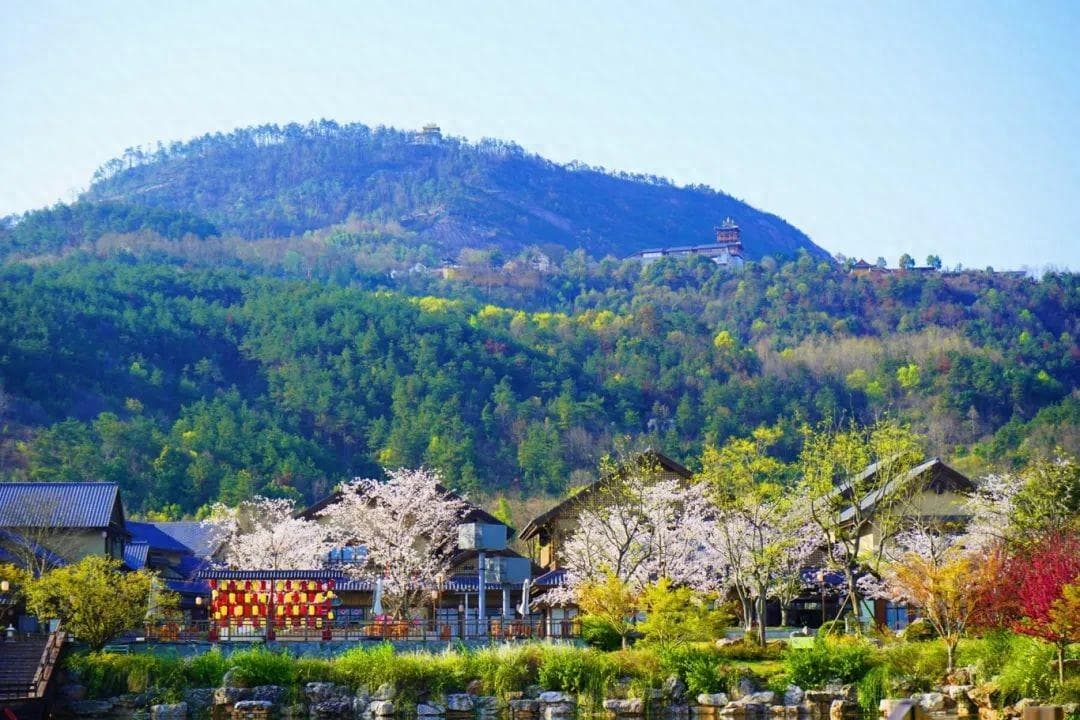一年最美时 正是赏花季 黄梅县东山问梅村春季赏花攻略