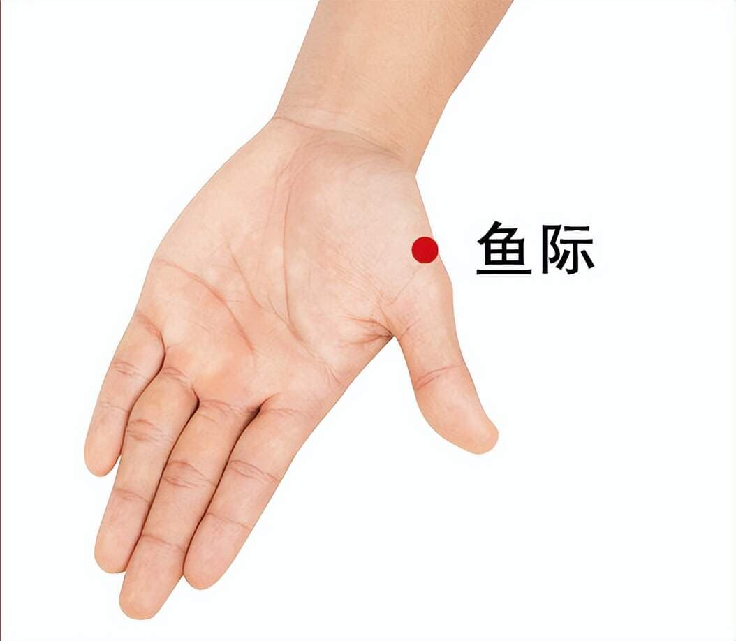 鱼际穴：调理肺部疾病，守护心血管健康
