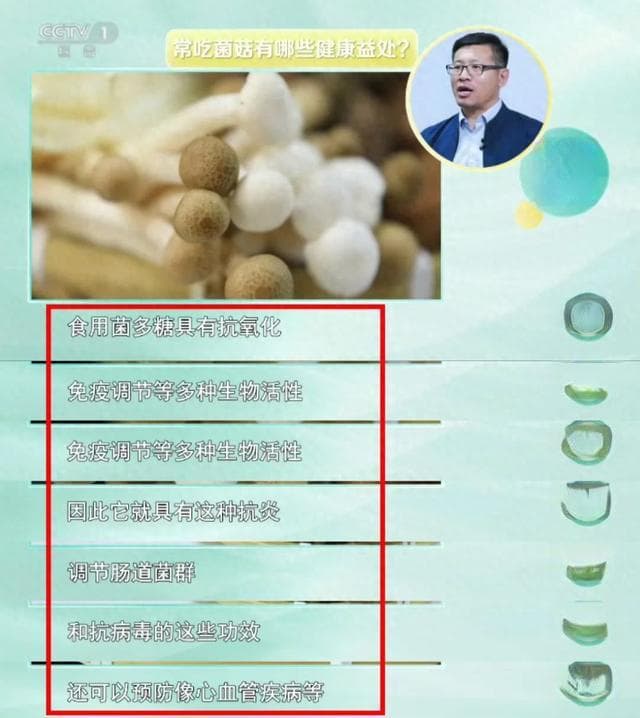 冬季进补的“终极超级食材”，来自大山的馈赠：蘑菇必不可少，煲汤更营养！