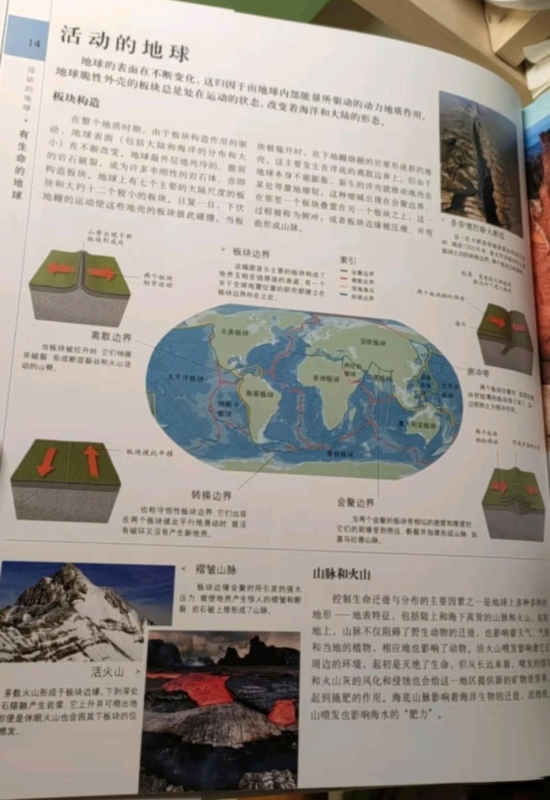 探索生物多样性的科普佳作——《DK博物大百科：一场穿越自然界的视觉盛宴》