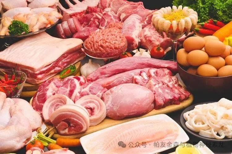 帕金森患者可以吃哪些高蛋白食物？