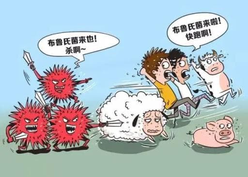 关于布病，你知道多少？