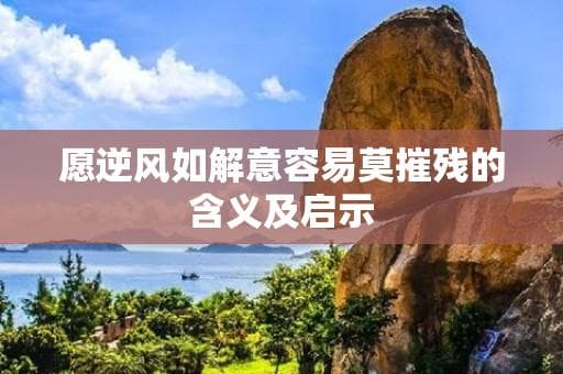 愿逆风如解意容易莫摧残的含义及启示