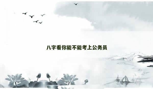 八字与考公：传统文化视角下的职业预测