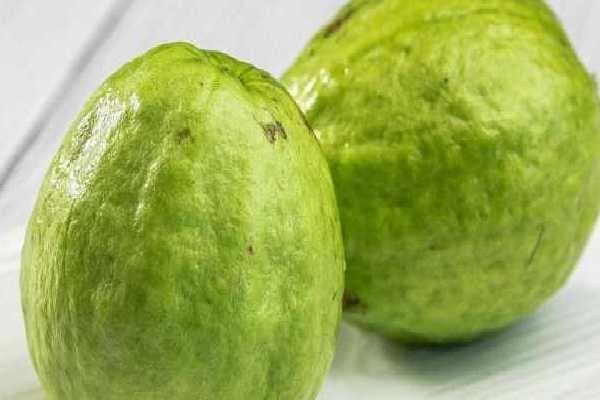 芭乐怎么吃：4种美味吃法和4大健康功效