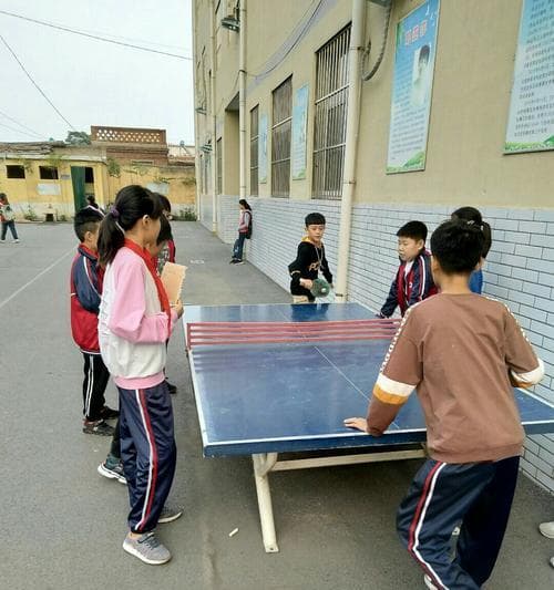 家庭乒乓球养成计划：从幼儿到成人，全面提高乒乓球水平