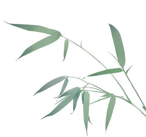 《玉簪记》：命运，不是唯一的答案
