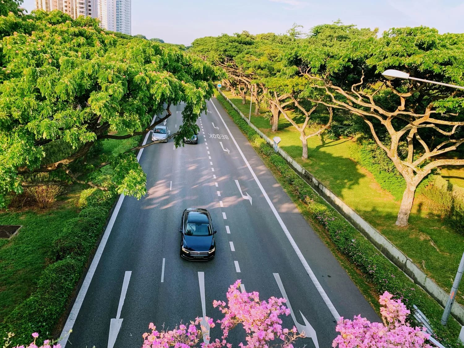 广州自驾游火爆，春节打卡圣地