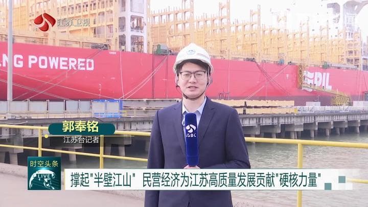 撑起 “半壁江山” 民营经济为江苏高质量发展贡献“硬核力量”