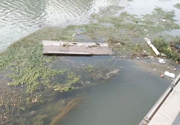 湖面垃圾规模大 水面垃圾自动收集器能否轻松应对