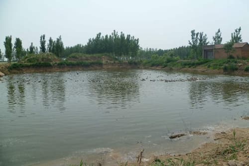 华北地区四季钓鱼指南：何时何地收获最多？