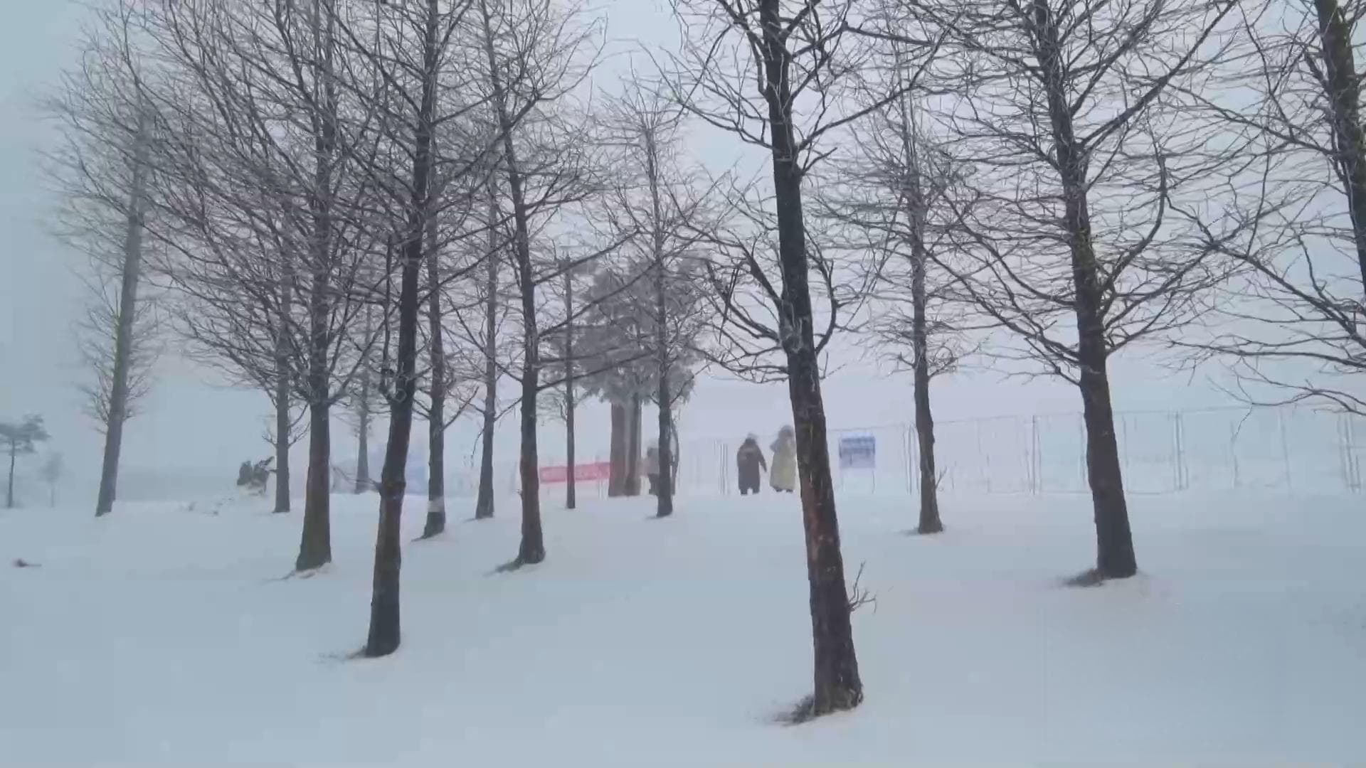 局部地区大雪到暴雪！重庆这轮降雪时段将集中在今晚→