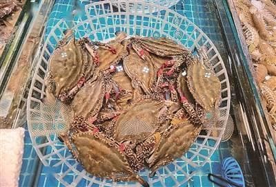 春日有约，海鲜驾到！来看海味记打底的青岛海鲜美食文化