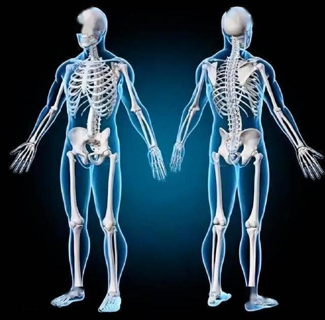 科学研究证实：中国人小脚趾少一节趾骨，是进化还是遗传？