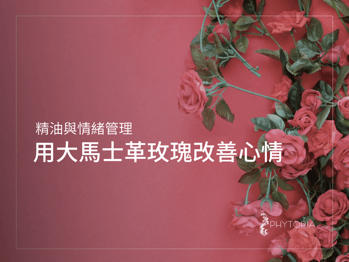精油与情绪管理：用大马士革玫瑰改善心情