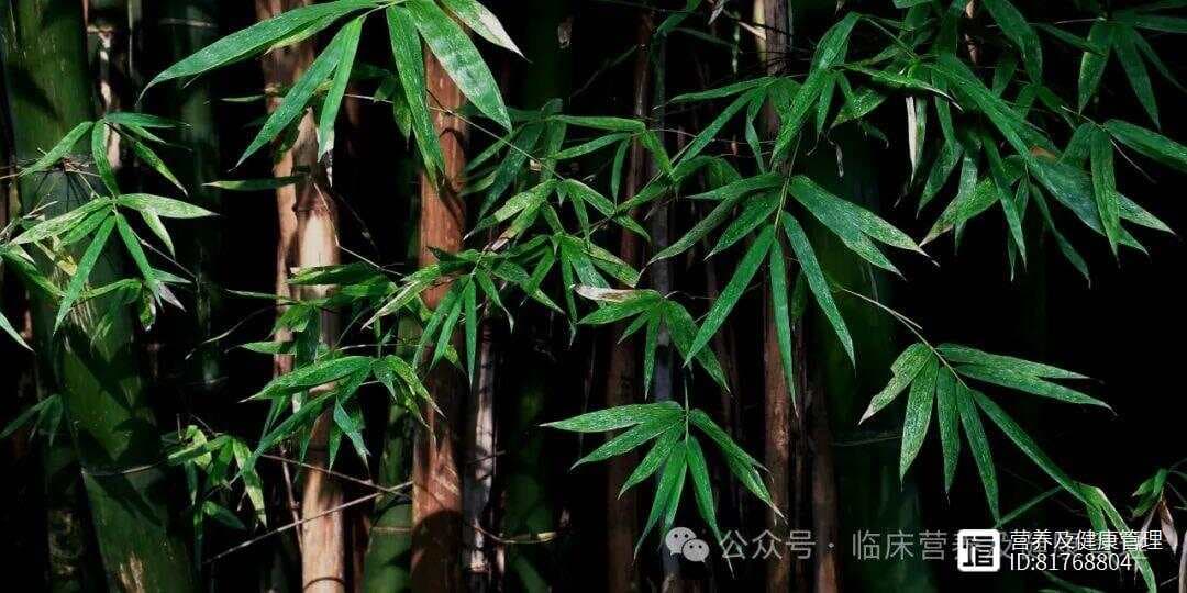 女生30岁后如何抗衰老？