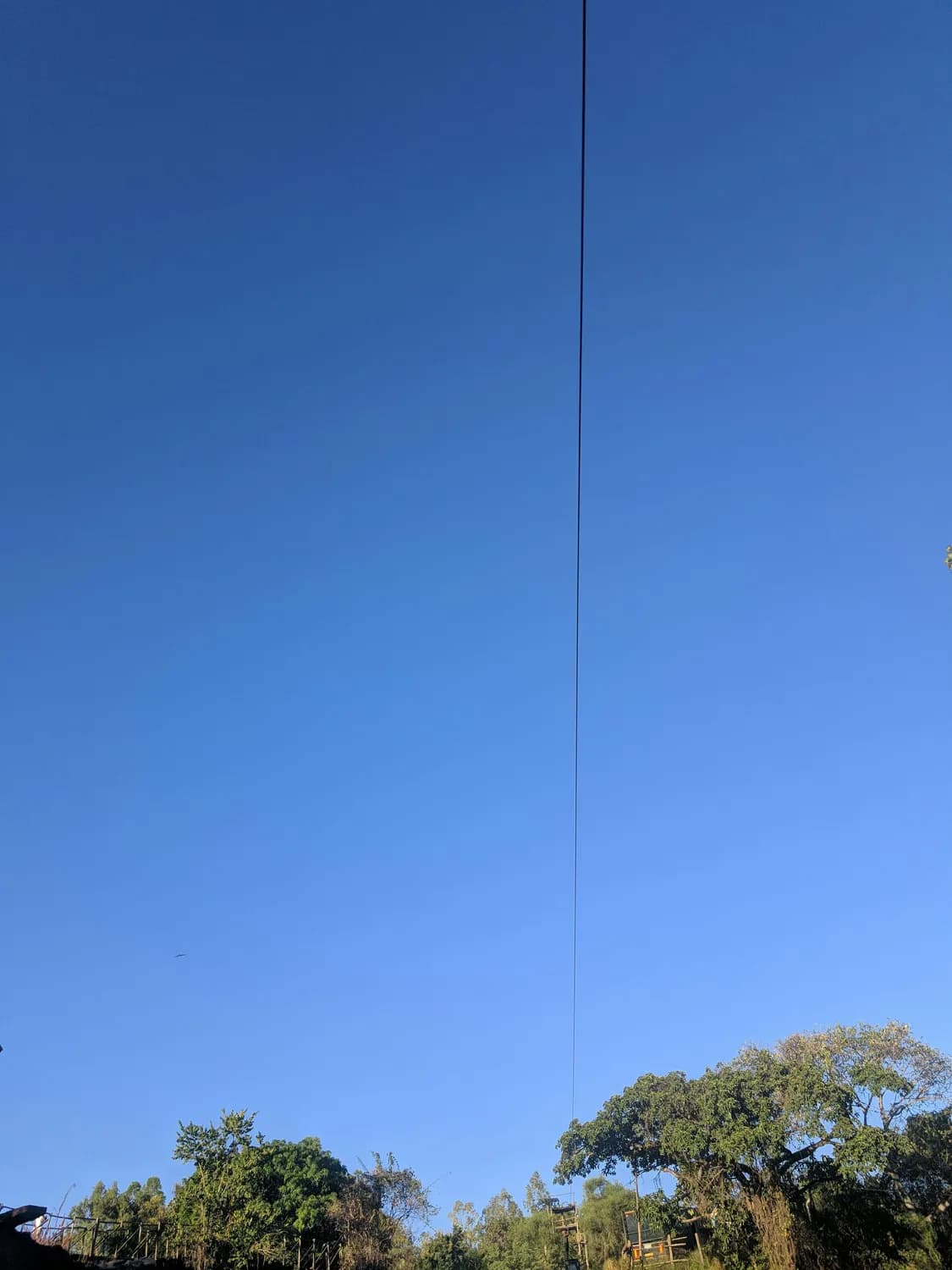 春季放风筝，高压线下的致命陷阱