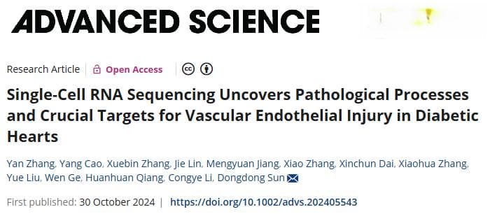 Adv Sci：空军军医大学孙冬冬团队研究确定了糖尿病中心脏血管内皮损伤的新机制