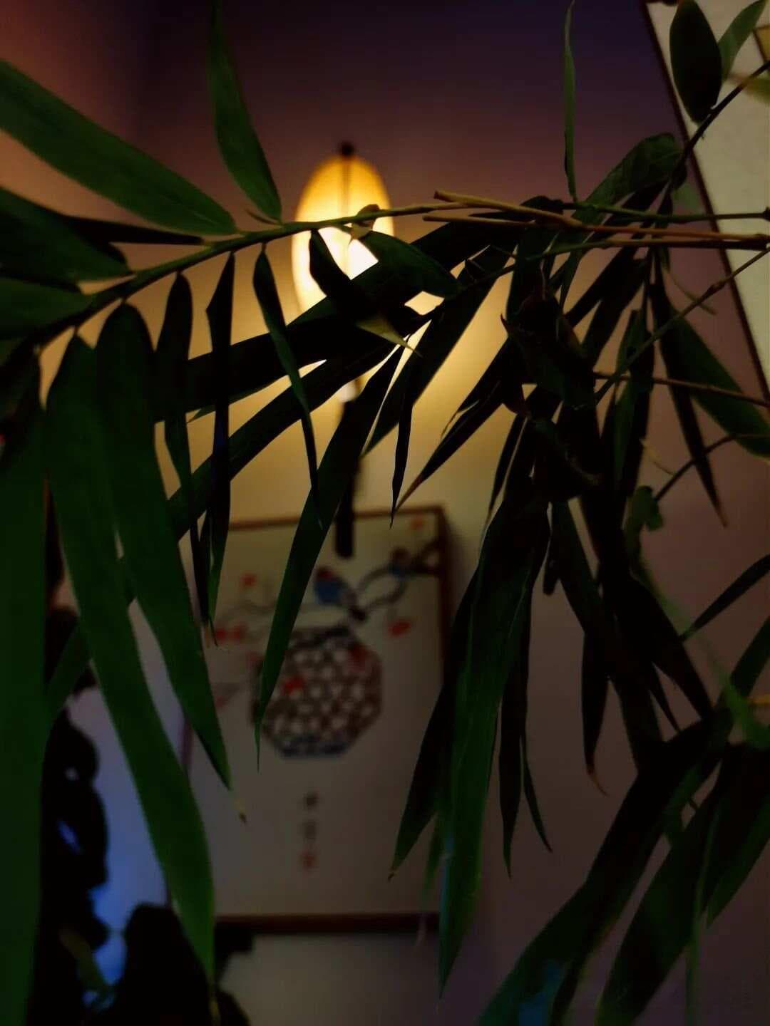 喝茶，养出清净的灵魂
