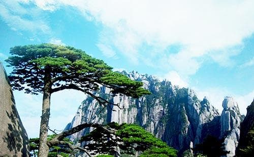 黄山适合夏天去吗 黄山夏季景色不容错过