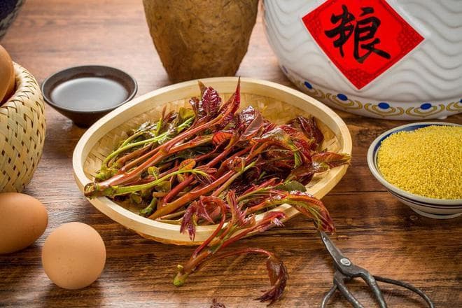香椿树的适宜种植地区及食用方法