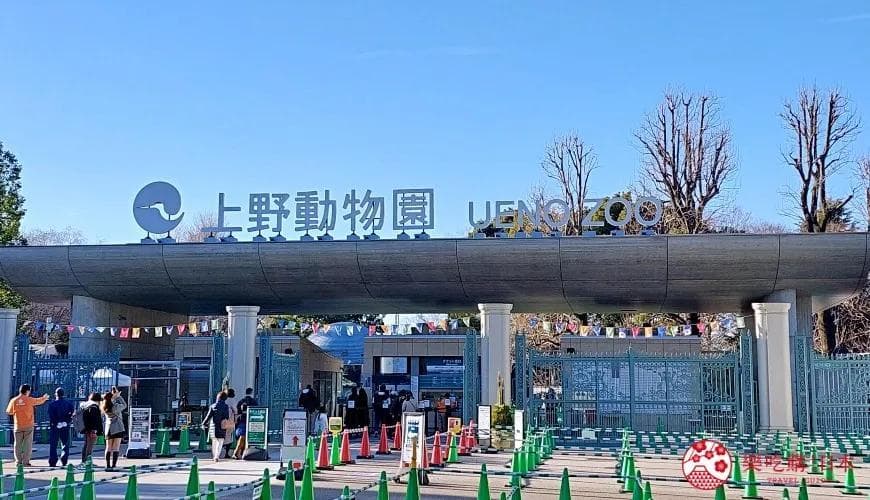 上野动物园完全攻略：交通、门票、必看动物和美食一网打尽