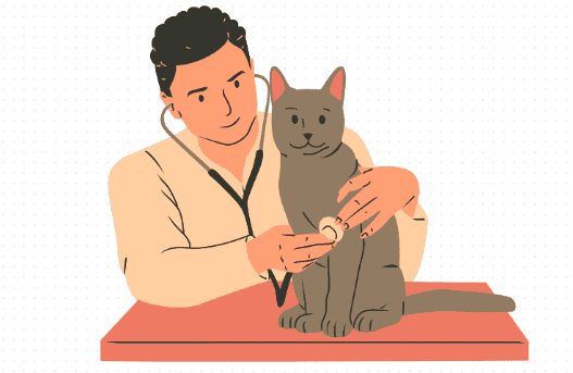 如何判断猫咪得了猫鼻支？氧宠博士教你几招
