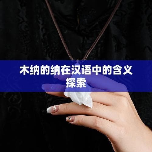 木纳的纳在汉语中的含义探索