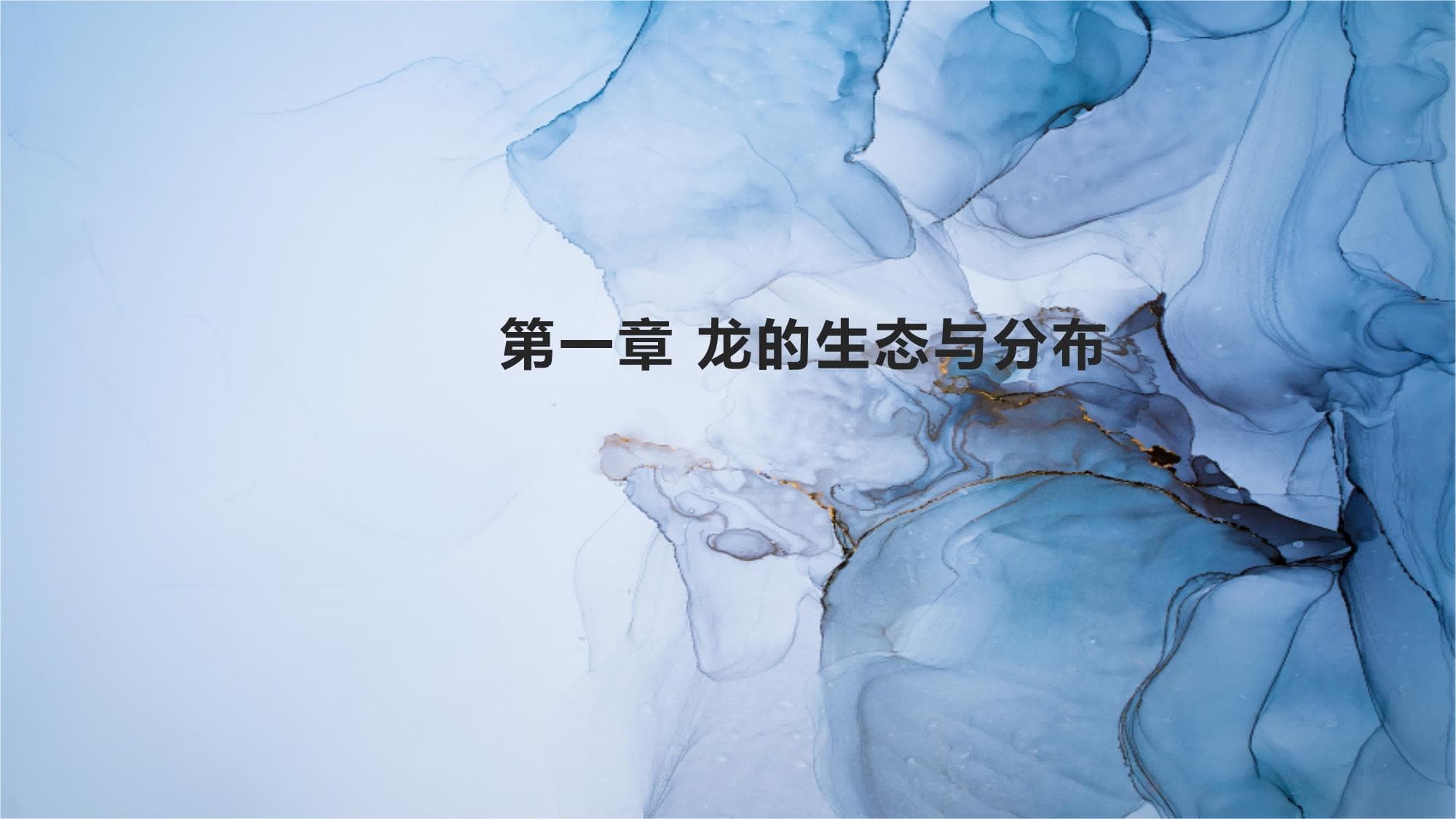 龙的研究报告结论
