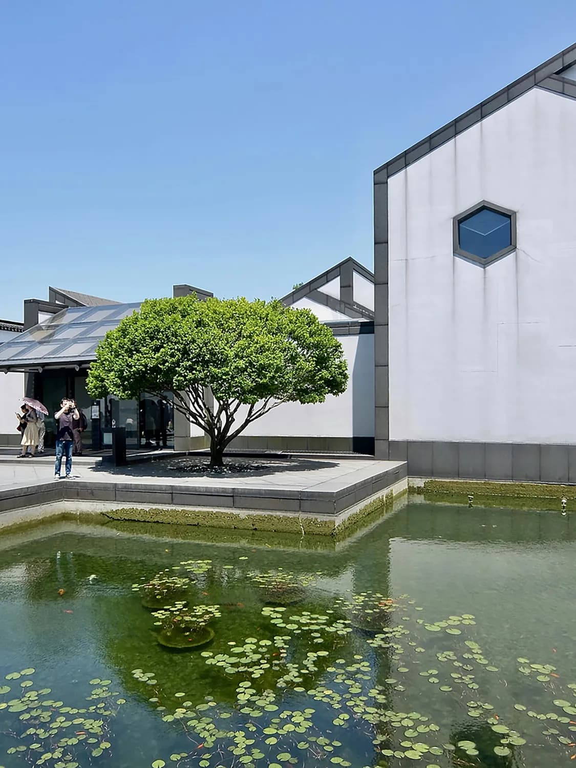苏州博物馆本馆&西馆打卡攻略：建筑之美与文化之韵的完美融合