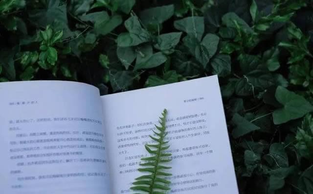 9个摄影技巧教大家如何拍出有故事感的照片
