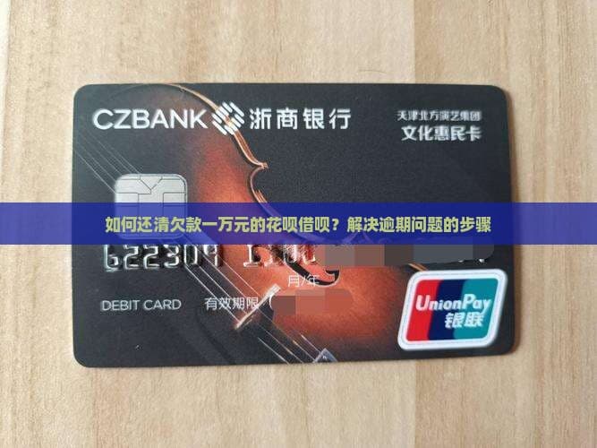 如何还清欠款一万元的花呗借呗？解决逾期问题的步骤